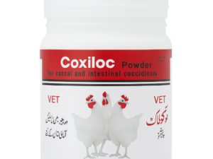 Coxiloc Powder